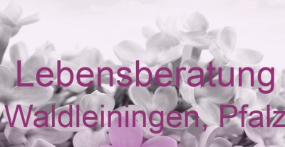 Lebensberatung Waldleiningen, Pfalz | Top-Experten für Kartenlegen, Wahrsagen, Hellsehen, Zukunftsdeutung. Lebensberatung Waldleiningen, Pfalz | Top-Experten für Kartenlegen, Wahrsagen, Hellsehen, Zukunftsdeutung.